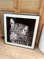 Panter Foto in Lijst - Moderne Uitstraling, Huis en Inrichting, Ophalen of Verzenden, Zo goed als nieuw, Foto of Poster, Minder dan 50 cm
