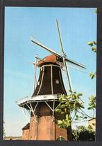 Koren- en Pelmolen Molen Berg te Winschoten., Verzamelen, Ansichtkaarten | Nederland, Verzenden, 1980 tot heden, Ongelopen, Groningen