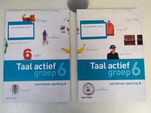 Taal actief groep 6 werkboek spelling (6A, 6B) versie 4, Boeken, Schoolboeken, Nieuw, Nederlands, Overige niveaus, Ophalen of Verzenden