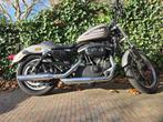 Harley davidson sportster 883R, Handvatverwarming, 2 cilinders, Chopper, 883 cc