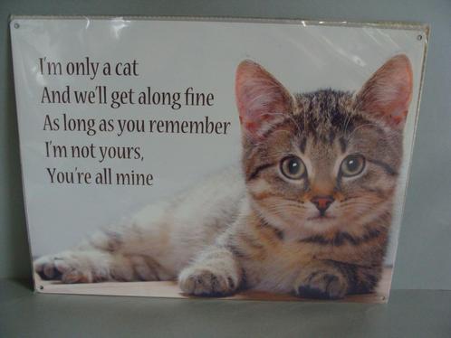 wandplaten metaal poes Leuke wanddecoratie, Verzamelen, Merken en Reclamevoorwerpen, Nieuw, Reclamebord, Ophalen of Verzenden