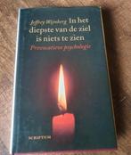 Jeffrey wijnberg In het diepste van de ziel is niets te zien, Ophalen of Verzenden, Zo goed als nieuw, Cognitieve psychologie