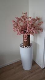 Bloesemboom, Ophalen, Zo goed als nieuw