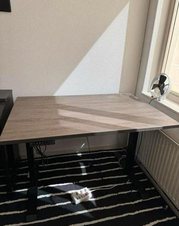 Elektrisch sta-zitbureau