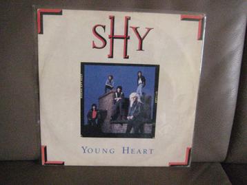 Shy – Young Heart beschikbaar voor biedingen
