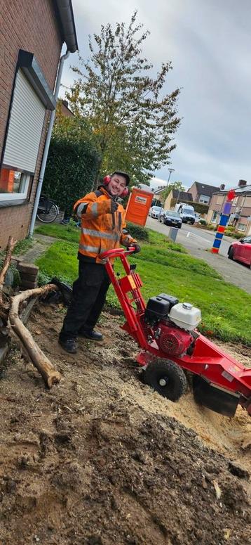 Boomstronk wegfrezen? Of tuin leegruimen? beschikbaar voor biedingen