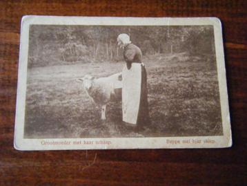 U35 - Beppe met schaap - 1920 - Mooi/Oud beschikbaar voor biedingen