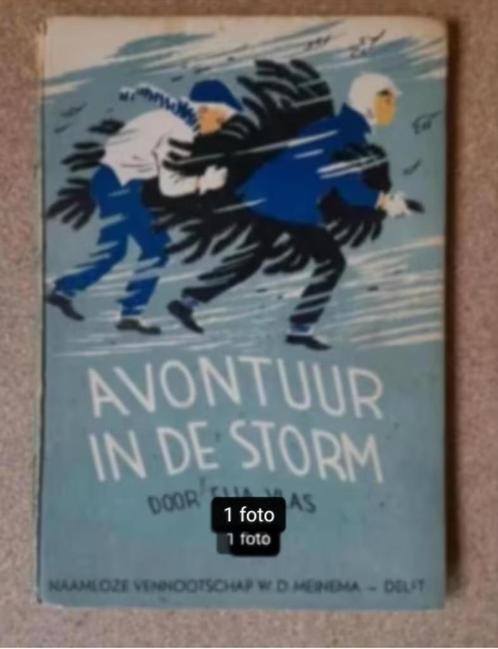 Avontuur in de Storm Elja Vlas N.V. W.D. Meinema Delft, Antiek en Kunst, Antiek | Boeken en Bijbels, Ophalen