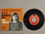 Daniel November - It's a beautiful day VINYL SINGLE, Gebruikt, 7 inch, Single, Ophalen of Verzenden