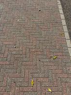 Waaltjes beton rood zwart 20x7x7 cm 121m2, Tuin en Terras, Tegels en Klinkers, Ophalen, Gebruikt, Overige typen, 10 m² of meer