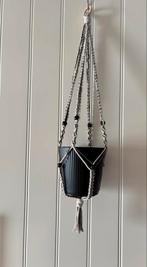 Plantenhanger met kralen, Verzenden, Overige soorten, Halfschaduw, In pot
