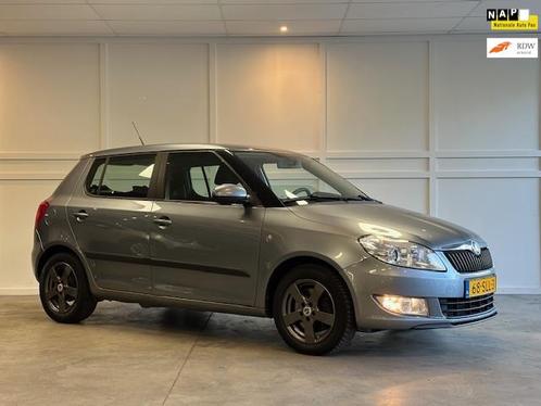 Skoda Fabia 1.6 TDI Ambition / Airco / Cruise / 2011, Auto's, Skoda, Bedrijf, Te koop, Fabia, ABS, Airbags, Airconditioning, Boordcomputer