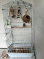 Grote vogelkooi, Dieren en Toebehoren, Ophalen of Verzenden, Gebruikt, Metaal, Vogelkooi
