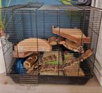 Hamsterkooi groot, Dieren en Toebehoren, Knaagdieren en Konijnen | Hokken en Kooien, Ophalen, Zo goed als nieuw, Kooi, Minder dan 60 cm