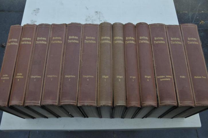 Brehms Tierleben complete 13 delig serie Dierleven 1911-1920, Boeken, Dieren en Huisdieren, Gelezen, Overige diersoorten, Ophalen
