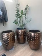 Laos pot emperor middel brons pot en vaas, Ophalen, Rond, Zo goed als nieuw, Minder dan 25 cm