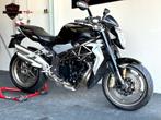 MV AGUSTA BRUTALE 990 R 2013 11.994 KM BRUTALE 800 990R, 4 cilinders, Bedrijf, Meer dan 35 kW, 998 cc
