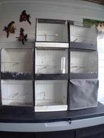 Te koop tentoonstelling kooien, Ophalen, Zo goed als nieuw, Hout, Broedkooi of Kweekkooi