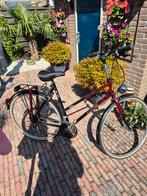 Prachtige lichte en sportieve fiets van het merk Altra, 53 tot 56 cm, Zo goed als nieuw, Ophalen, Overige merken