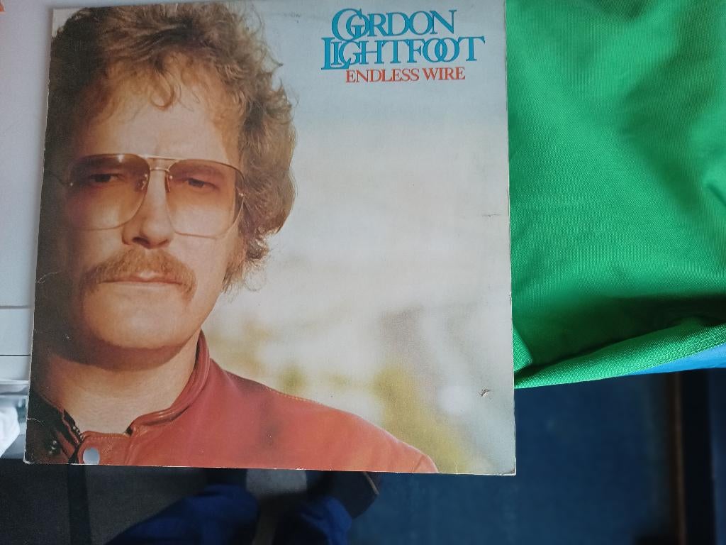 Gordon Lightfoot-endless wire/origineel 1978, Ophalen of Verzenden, Gebruikt, 12 inch