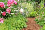 Tuinman | Hovenier | Tuinonderhoud, Bestrating
