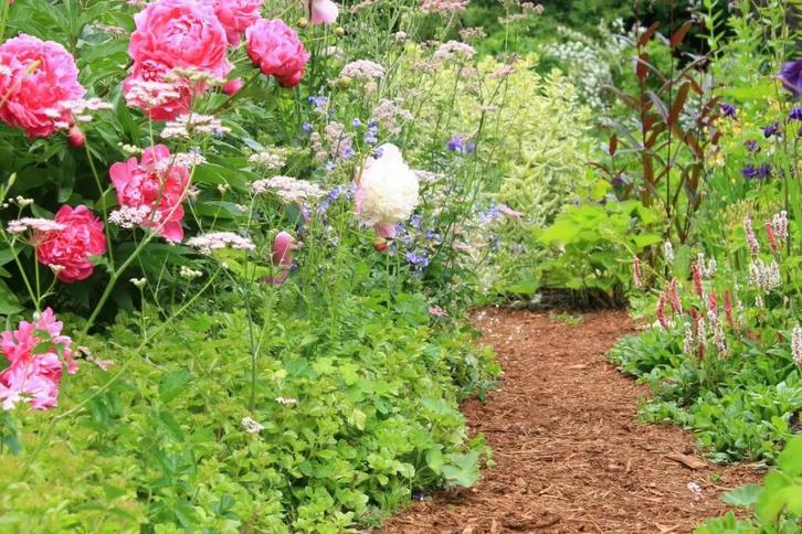 Tuinman | Hovenier | Tuinonderhoud, Diensten en Vakmensen, Tuinmannen en Stratenmakers, Bestrating