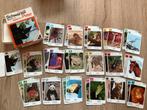 Schwarzer Petr, Zwarte Piet, Ravensburger, Ophalen of Verzenden, Kwartet(ten)