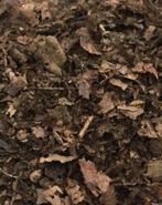 Bladhumus, Dieren en Toebehoren, Insecten en Spinnen