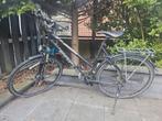 Damesfiets Focus, Fietsen en Brommers, Overige merken, Gebruikt, Versnellingen, 49 tot 53 cm