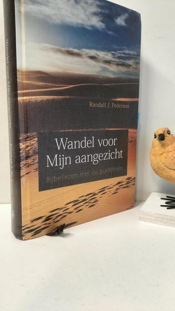 Pederson, Randall J.; Wandel voor Mijn aangezicht beschikbaar voor biedingen