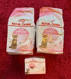 Royal Canin kitten droog- en natvoer, Ophalen, Kat