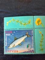 Letland: Vis uit 2023., Postzegels en Munten, Postzegels | Thematische zegels, Ophalen of Verzenden, Dier of Natuur, Postfris