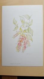 Prenten van M. Weemaes., Antiek en Kunst, Kunst | Tekeningen en Foto's, Ophalen of Verzenden