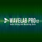 Steinberg WaveLab 12 Pro, Verzenden, Nieuw, Windows
