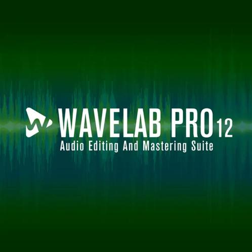 Steinberg WaveLab 12 Pro, Computers en Software, Audio-software, Nieuw, Windows, Verzenden