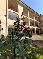 Authentieke B&B in Noord-Italië Perfect voor Groepen tot 20p, Vakantie, Groepsaccommodatie, Piemonte of Aosta, Dorp, 20 personen