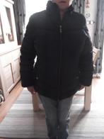 dames winterjas Cars maat 40, Kleding | Dames, Jassen | Winter, Ophalen of Verzenden, Gedragen, Maat 38/40 (M), Zwart