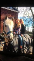 Lieve witte D pony te koop, Dieren en Toebehoren, Pony's, Merrie, Gechipt, 11 jaar of ouder, Recreatiepony
