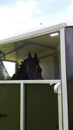 Gezocht Paardenvrachtwagen b rijbewijs, Dieren en Toebehoren, Ophalen, Zo goed als nieuw, Aluminium, Overige typen