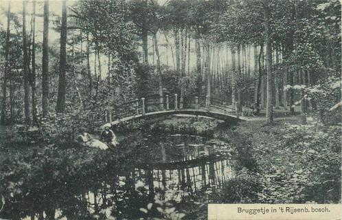 (388-398-025) Driebergen-Rijsenburg Bruggetje in het Bosch, Verzamelen, Ansichtkaarten | Nederland, Utrecht, Verzenden