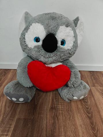 Beer met hart beschikbaar voor biedingen