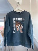Trui donker grijs maat s rebel costes, Ophalen of Verzenden, Zo goed als nieuw, Maat 36 (S), Grijs
