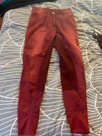 38 Harrys horse pardrijbroek wijnrood aardetinten, Dieren en Toebehoren, Paardrijkleding, Ophalen of Verzenden, Nieuw, Dames, Onderkleding