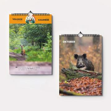 Fotokalender Veluwse Plaatjes beschikbaar voor biedingen