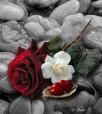 Man zoekt vrouw, Ophalen of Verzenden, Zo goed als nieuw, Zilver, Overige merken