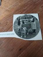 Knipsel bakkerskar Horn 1931, Ophalen of Verzenden, 1920 tot 1940, Knipsel(s)