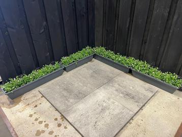NIEUWE BETON TEGELS!!!! Smartton 60x60x4 Matterhorn 20,16m2 beschikbaar voor biedingen