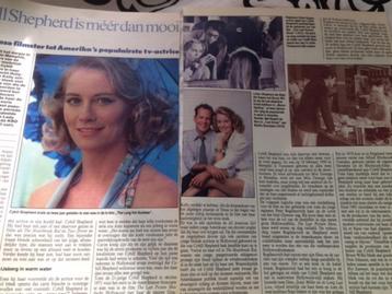 artikel over Cybill Shepherd beschikbaar voor biedingen