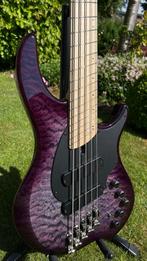 Dingwall Combustion Multiscale 5-2 Bass Guitar, Muziek en Instrumenten, Ophalen, Zo goed als nieuw, Elektrisch, 5-snarig