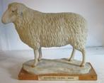 antiek gipsen school object slagerij model schaap 13, Antiek en Kunst, Verzenden
